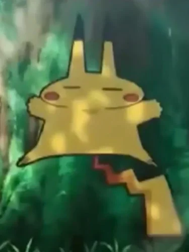 Meme Pikachu 29