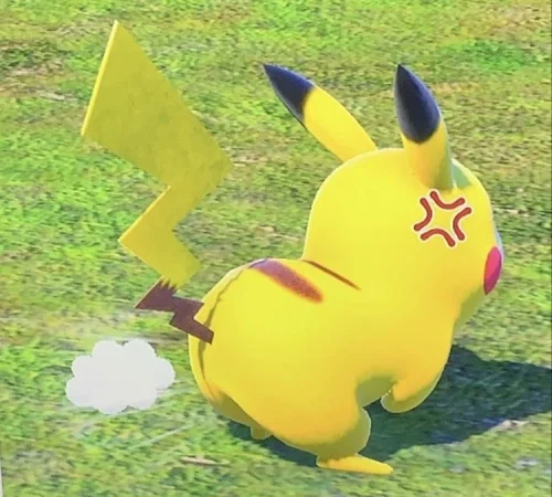 Meme Pikachu 54