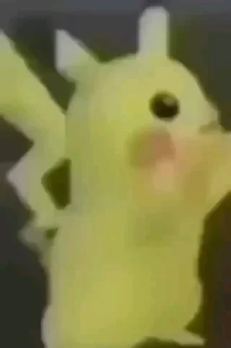 Meme Pikachu 55
