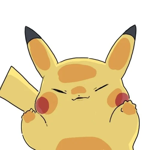 Meme Pikachu 13