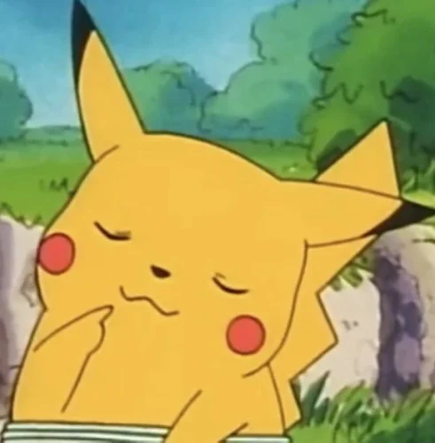 Meme Pikachu 21