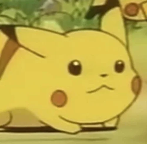 Meme Pikachu 27