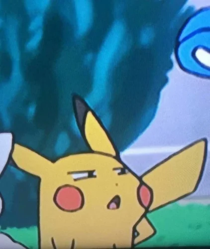 Meme Pikachu 28