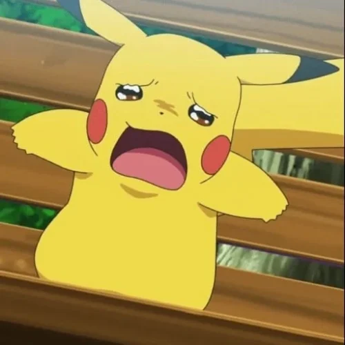Meme Pikachu 29