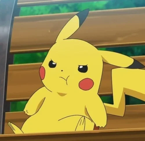 Meme Pikachu 56