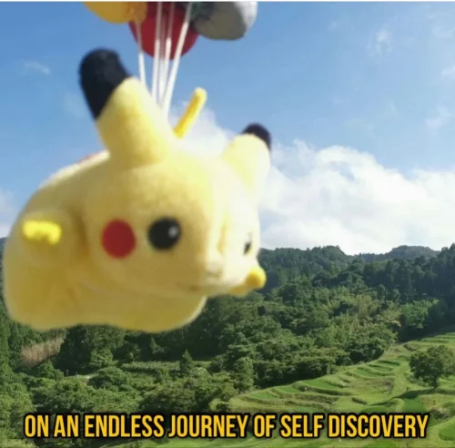 Meme Pikachu 59