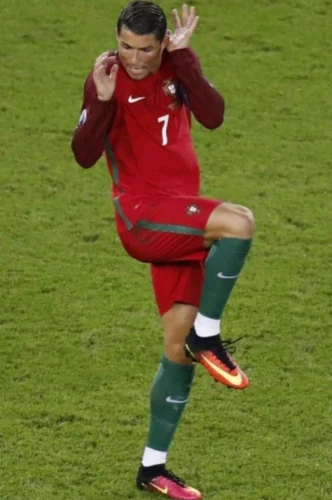 Meme Ronaldo 31