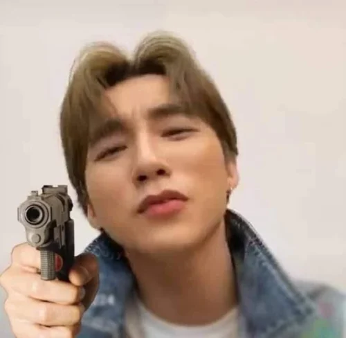 Meme Sơn Tùng 1