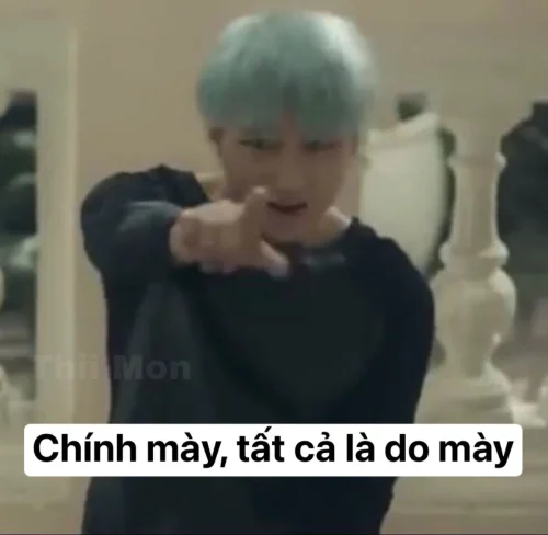 Meme Sơn Tùng 5