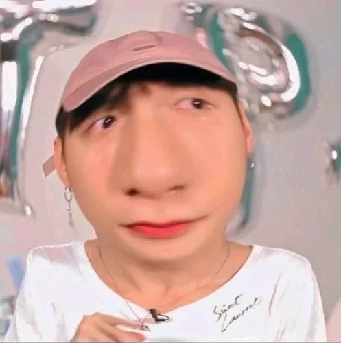 Meme Sơn Tùng 8