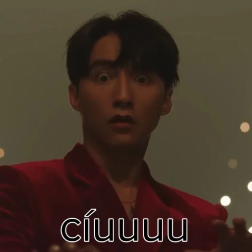 Meme Sơn Tùng 19