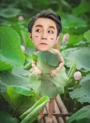 Meme Sơn Tùng 20
