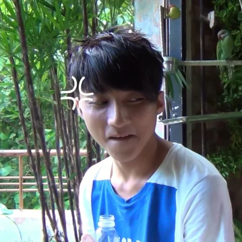 Meme Sơn Tùng 25