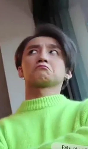 Meme Sơn Tùng 33