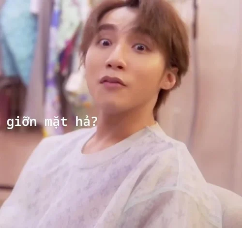Meme Sơn Tùng 34