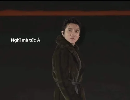 Meme Sơn Tùng 38