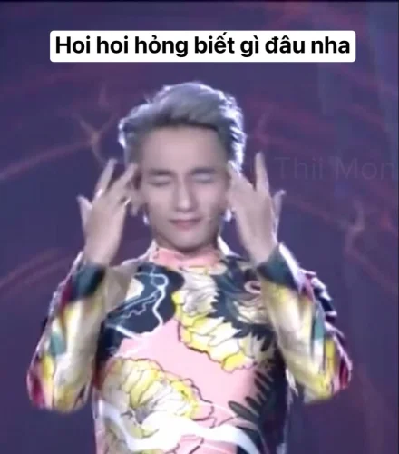 Meme Sơn Tùng 40