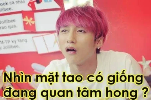 Meme Sơn Tùng 41