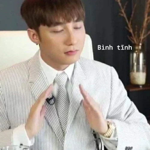 Meme Sơn Tùng 47