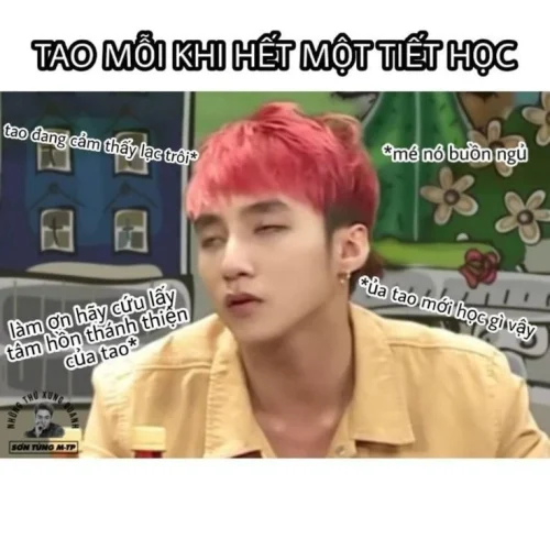 Meme Sơn Tùng 48