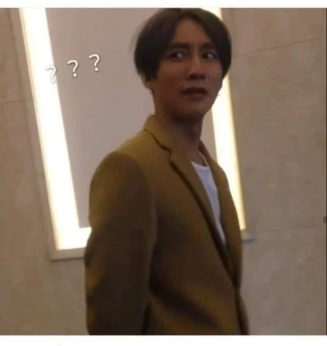 Meme Sơn Tùng 53