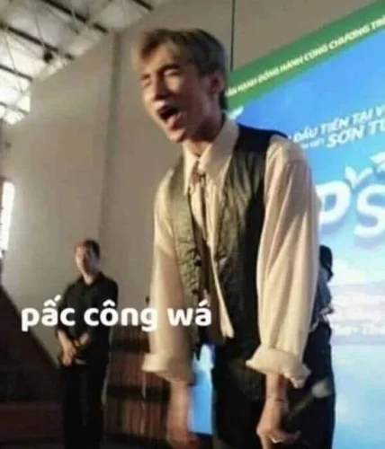 Meme Sơn Tùng 7