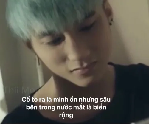 Meme Sơn Tùng 10