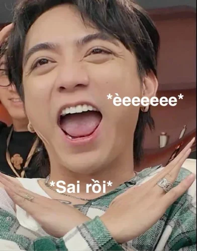 Meme Sơn Tùng 26