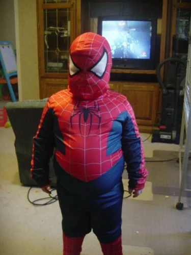 Meme Spider-Man 13
