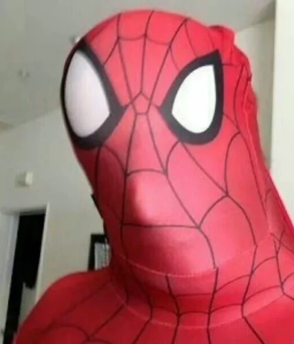 Meme Spider-Man 14