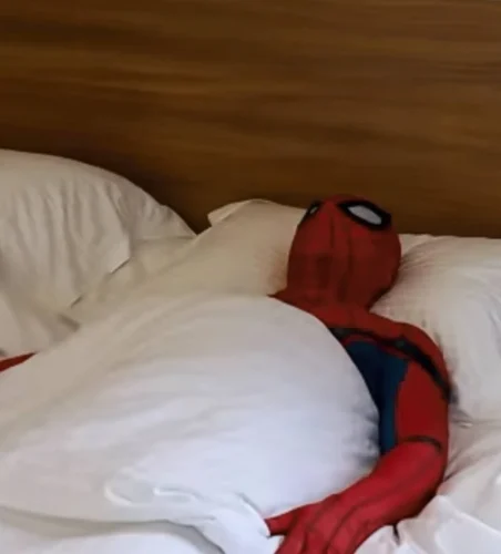 Meme Spider-Man 20