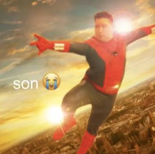 Meme Spider-Man 24