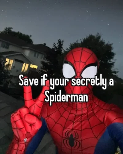 Meme Spider-Man 30