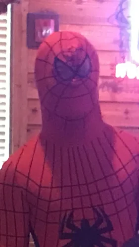 Meme Spider-Man 31