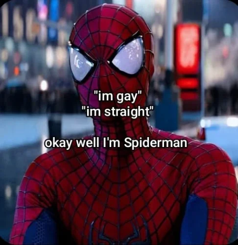 Meme Spider-Man 36