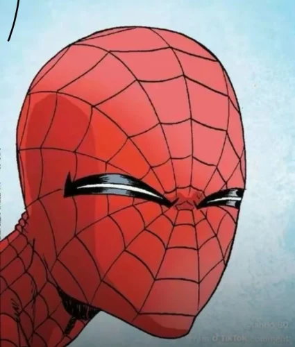 Meme Spider-Man 39