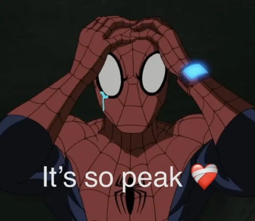 Meme Spider-Man 48