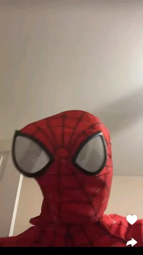 Meme Spider-Man 55