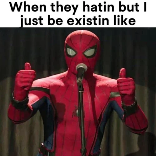 Meme Spider-Man 9