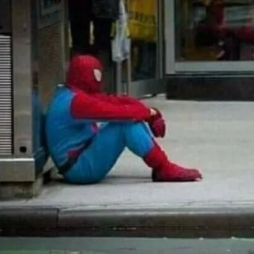 Meme Spider-Man 11