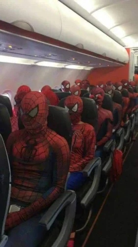 Meme Spider-Man 13