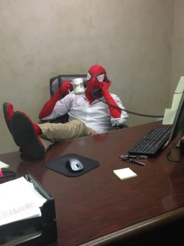 Meme Spider-Man 15