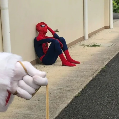 Meme Spider-Man 23
