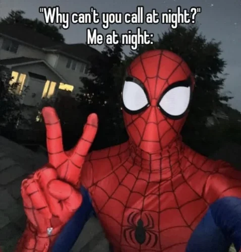 Meme Spider-Man 27