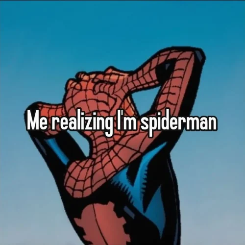 Meme Spider-Man 29