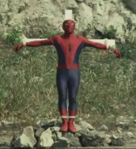 Meme Spider-Man 31