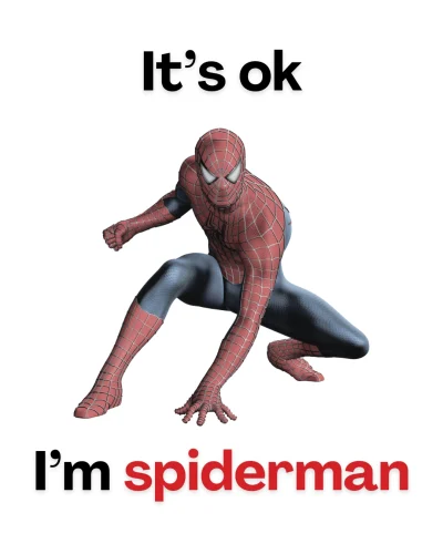 Meme Spider-Man 35