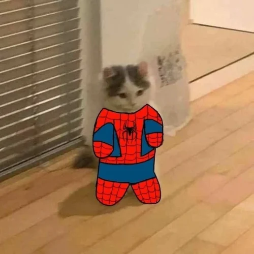 Meme Spider-Man 36