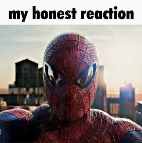 Meme Spider-Man 37