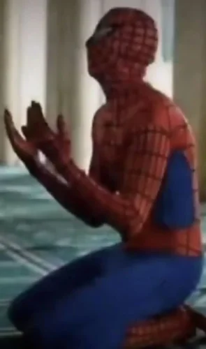Meme Spider-Man 41